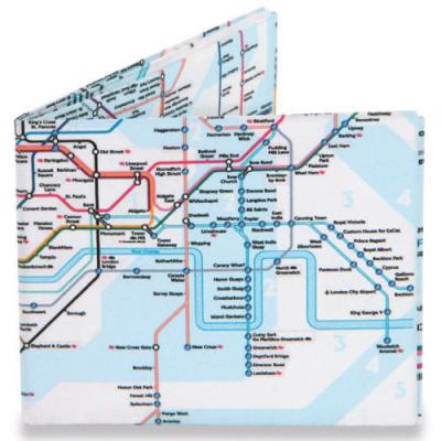 China Outdoor Adventure Travel Map Eco-friendly Custom Printing Tyvek Folding World Map Waterproof for sale