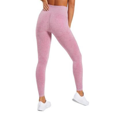 China Ptsports Antibacterial Women Seamless Yoga Gaiters Breathable And High Elasticity Hot Sale Design Fitness Gaiters for sale