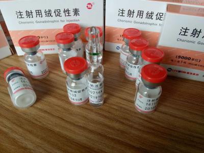 China China Original Livzon brand HCG 5000iu with Bac Water for weigh loss Ready Injectable for sale