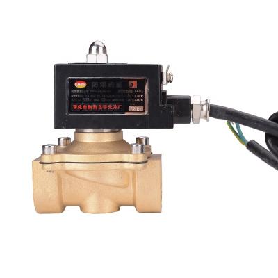 China Mini Brass 220v AC 24v General Way DC 2/2 Explosion Proof Natural Gas Detector Electric Solenoid Valve for sale