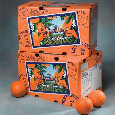 China Recyclable Custom Printed Corrugated Cardboard Orange Apple Logo Packaging Mailing Mailer Box for sale