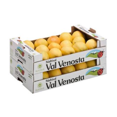 China Recyclable Customized Packaging Tray Retail Box Lemon Fruit Paper Logo Printed Corrugated Cardboard Orange for sale