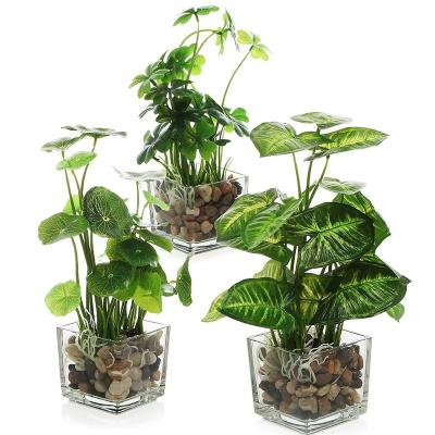 China Plastic Hot Sale China Manufacturer Decoration Green Artificial Plants For Home Decor for sale