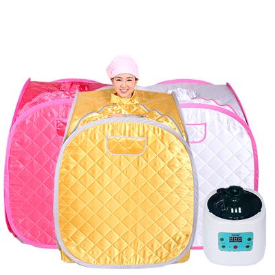 China Personal Computer Control Panel Sauna Steam Device Portable Steam Sauna Machine for sale