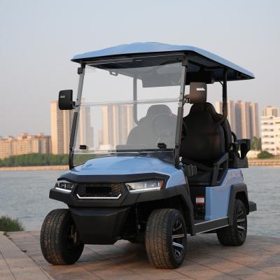 China 2 4 6 Seat Electric Lithium Battery Sightseeing Golf Cart Golf Buggy Car with DOT Comfortable and Spacious for sale