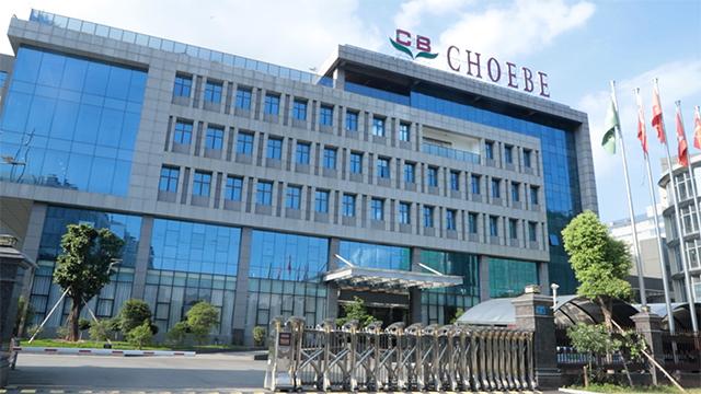 Verified China supplier - CHOEBE(DONGGUAN) PACKAGE CO.,LTD