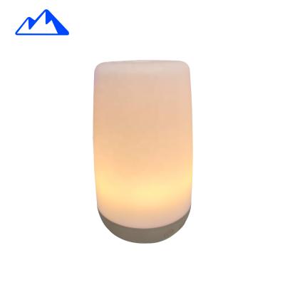 China Household Essential Oil Diffuser With Water Cool Mist Humidifier Tranquil Aroma Diffuser for sale