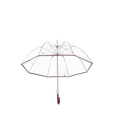 China CLASSIC Colored Acrylic J Shape Handle Transparent Tubing Umbrella With Customized for sale