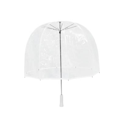 China All In 1 Transparent Birdcage Umbrella Wood Handle Straight Umbrella With Customized for sale