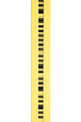 중국 ISBT2 Trimble Digital Level Accessory Barcoded Invar Rod Staff 2m for DINI Series Level 판매용