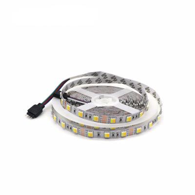 China Dual Cw/ww Tdc 2 LANDSCAPE Color Temperature White Colors In 1 Dc12v Led 24v smd5050 3528 Led Strip Light for sale