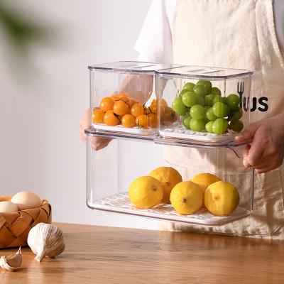 China Viable Wholesale Kitchen Fruit Plastic Container Refrigerator Storage Box Vegetable Organizer Refrigerator Can With Lid for sale