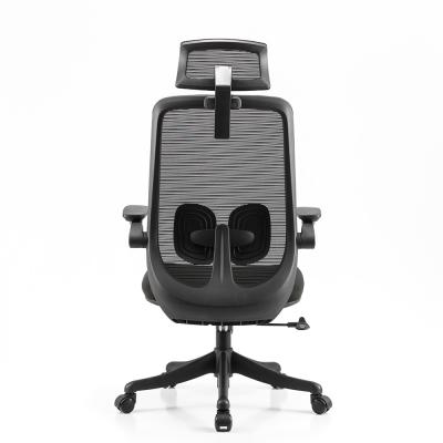 China Sliding Seat Ergonomic Task Chair Adjustable Lumbar Support High Back Mesh Desk Chair for sale