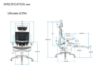 China PA GF Ergonomic Recliner Chair Racing Style Ergonomic Gaming Chair With Lumbar Support for sale