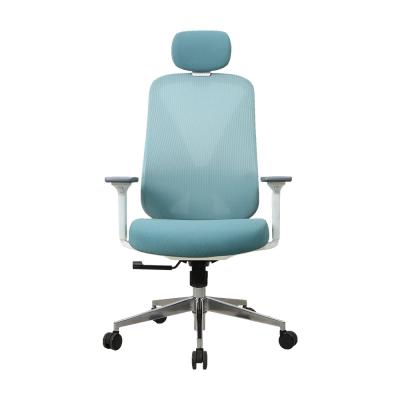 China De blauwe ergo stoel Nylon ergo Uitvoerend Mesh Chair van het taakbureau Te koop