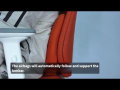 AI airbag lumbar ergonomic office executive chair with heating adjustment