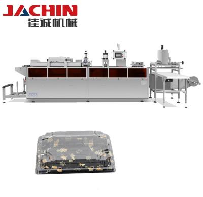 China Factory new model pp sushi plastic box take away thermoforming machine for sale