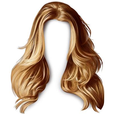 China Wanmei hair salon fashion sales European and American realistic long curly wigs hair extensions wigs for sale