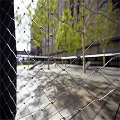 China flexible and durable  stainless steel cable netting mesh/ rope mesh / cable webnet for sale