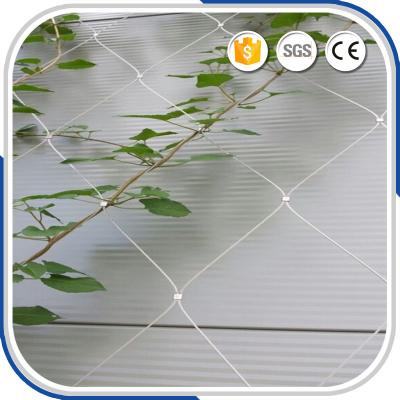 China High tech AISI316 material 2.0mm thickness stainless steel rope mesh support for climbing plants for sale