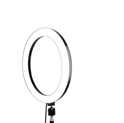 China PORTABLE CE&ROHS Material 10.5 Inch Makeup Mobile Phone Led Selfie Ring Light 10 Mini Selfie Ring Light 67 Tripod RK-40 Ring Light for sale