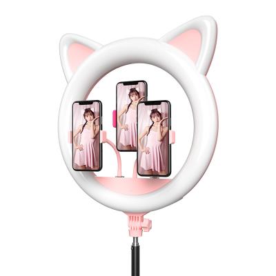 China Hot Selling PORTABLE Cat Head Shape 45W 18 Inches Led Ring Light With Tripod Videography Equipment 49.5cm Ring To Fill Light In Pink RK-45 for sale