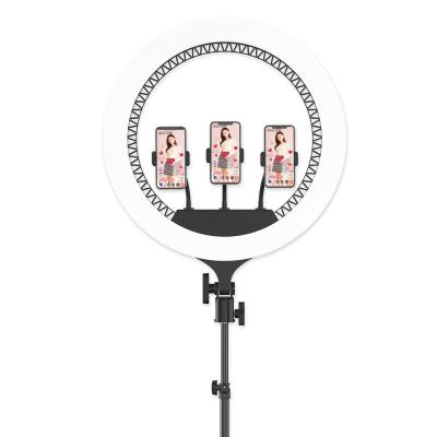 China Economic ringlight 21 inch with 3pcs phone holder led circle ring light LED Ring Lights Kit for video shooting, RK-59 RK-59 for sale