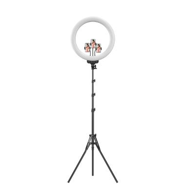 China 19 inch PORTABLE RGB led ring light with 3pcs cell phone holder for tiktok youtube light camera with remote control, RK-60 for sale