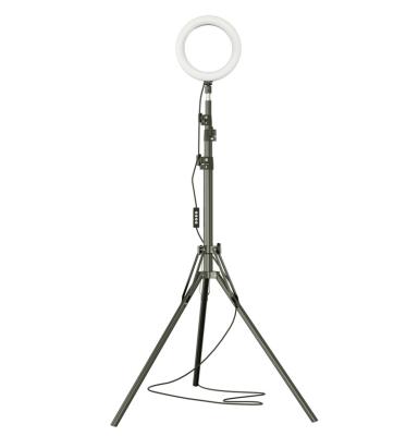 China Mini High Quality Hardware 12 Ring Light With 2.1 Meter Tripod Ring Light For Studio RK-42 Unique Features Led Ring Light For Video for sale