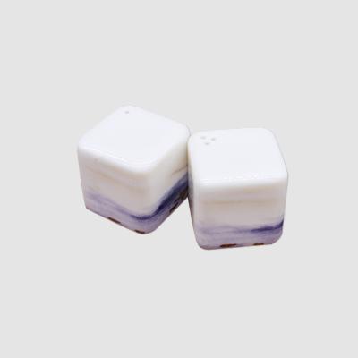 China China Factory Sustainable Ceramic Porcelain Bone China Square Salt And Pepper Shakers for sale