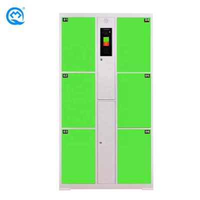 China Gym Best Selling Cold Rolled Steel Green 6 Door Face Recognition Electronic Locker for sale