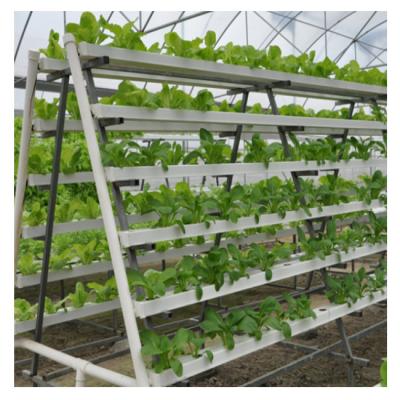 China Innovative Fruit Vegetable Flower Growing Equipment Raising Seeds Agricultural Hydroponic System Automatically for sale