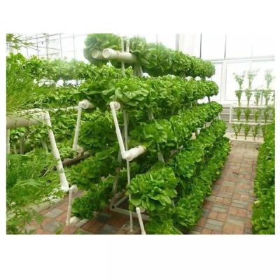 China Flexible Hydroponic Grow System Kit Vertical Hydroponic Lettuce System for sale