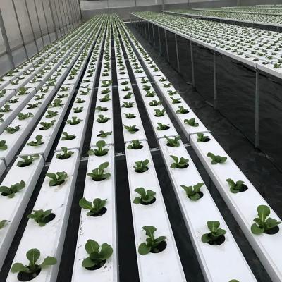 China Flexible Commercial Hydroponics System Vertical Grow System Smart Hydroponics System For Home With Mobile App for sale