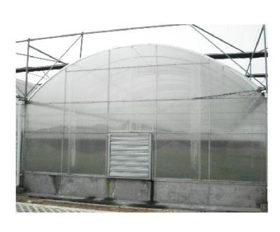 China Manufacturer Commercial Polycarbonate Single-Span Plastic Sheet Glass Greenhouse for sale