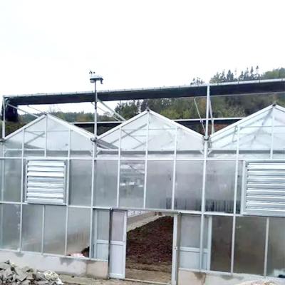 China Spires or Hollow Dome Greenhouse 92% Light Transmission Agriculture Polycarbonate Venlo Sheet For Greenhouse for sale