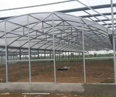 China Spires or dome agriculture polycarbonate sheet greenhouse for sale for sale