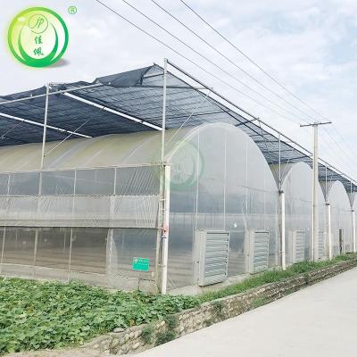 China Stable Structure Commercial Multi Span Plastic Greenhouse For Plants Growing for sale