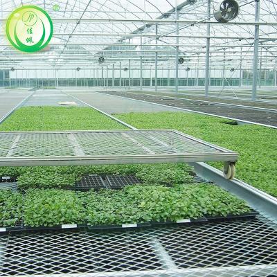 China Stable Structure Easily Assembled Low Cost Plastic Rolling Bench System Greenhouse On Sale for sale