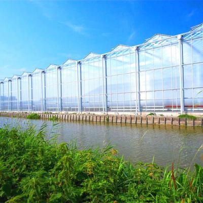 China Tomato green house manufacture wholesale price fruit commercial venlo glass greenhouse for sale