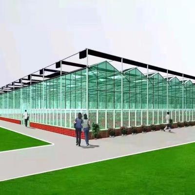 China Smart Climate And Multi-span Greenhouse Large Ventilation Green House Control System for sale