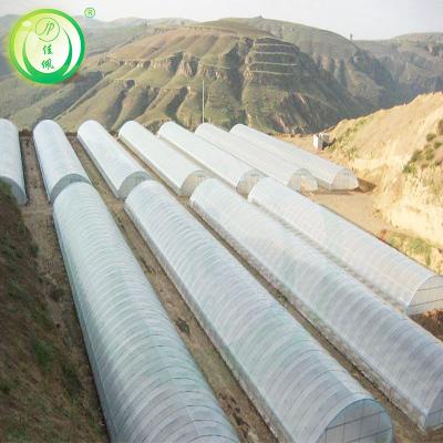 China Stable Structure Low Cost Commercial Tunnel Greenhouse For Tomato Greenhouse Making Greenhouse Kit for sale