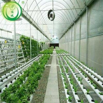 China Stable Structure Agriculture Greenhouse Hydroponic Light Weight Growing System for sale