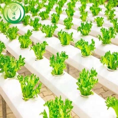 China Stable Structure Hot Sale Plastic Sheet Hydroponic Greenhouse For Sale for sale