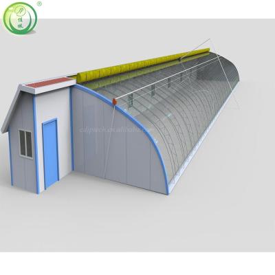 China Customized solar greenhouse hot water and air system warm top ventilation system inside and outside shading protection and cooling system small fan for sale