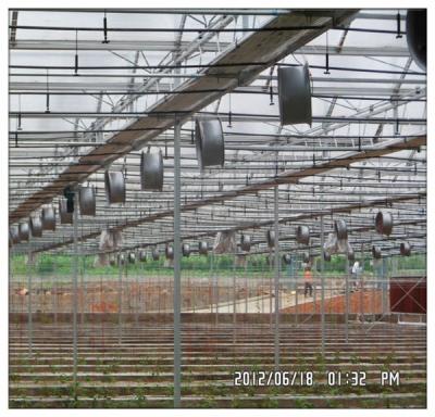 China Growing Aquaponics Structure Hydroponics Greenhouse Agriculture Nft Gutter System Stable Plant Light Stable Plant Greenhouse for sale