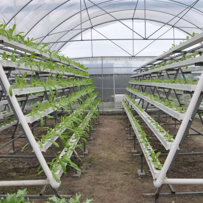 China Stable Structure PVC NFT Gutter Channel Hydroponic System For Greenhouse Growing Factory Suppliers Manufacture for sale