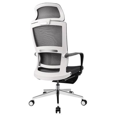 China (Height)Ergoup B90 Computer Desk Adjustable Executive Mesh Office Ergonomic Chair With Footrest for sale