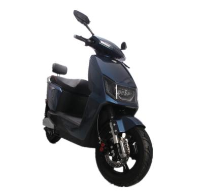 China Cheap price 1000w market 1000w scooter disc brake 2 wheel Indian Citycoco unisex electric personal transporter for sale