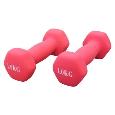 China Wholesale High Quality Eco-friendly/Durable/Safe/Comfortable Weight Lifting Gym Fitness Equipment Customized Vinyl Dumbbell/5KG Neoprene Dumbbell Set For Sale for sale